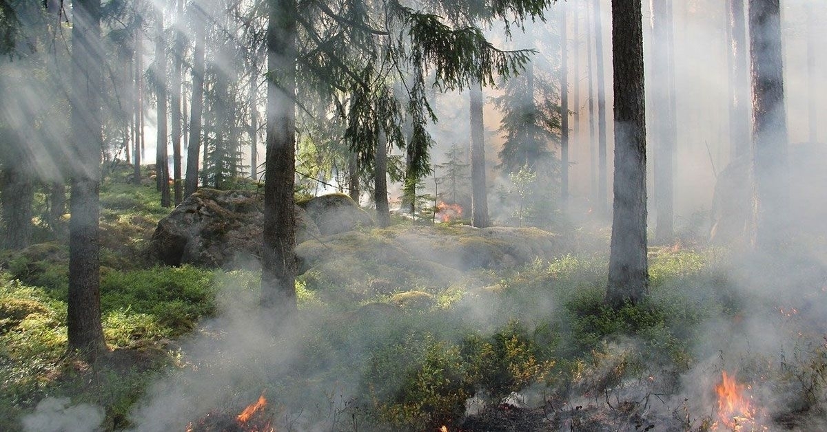 incedio-forestal