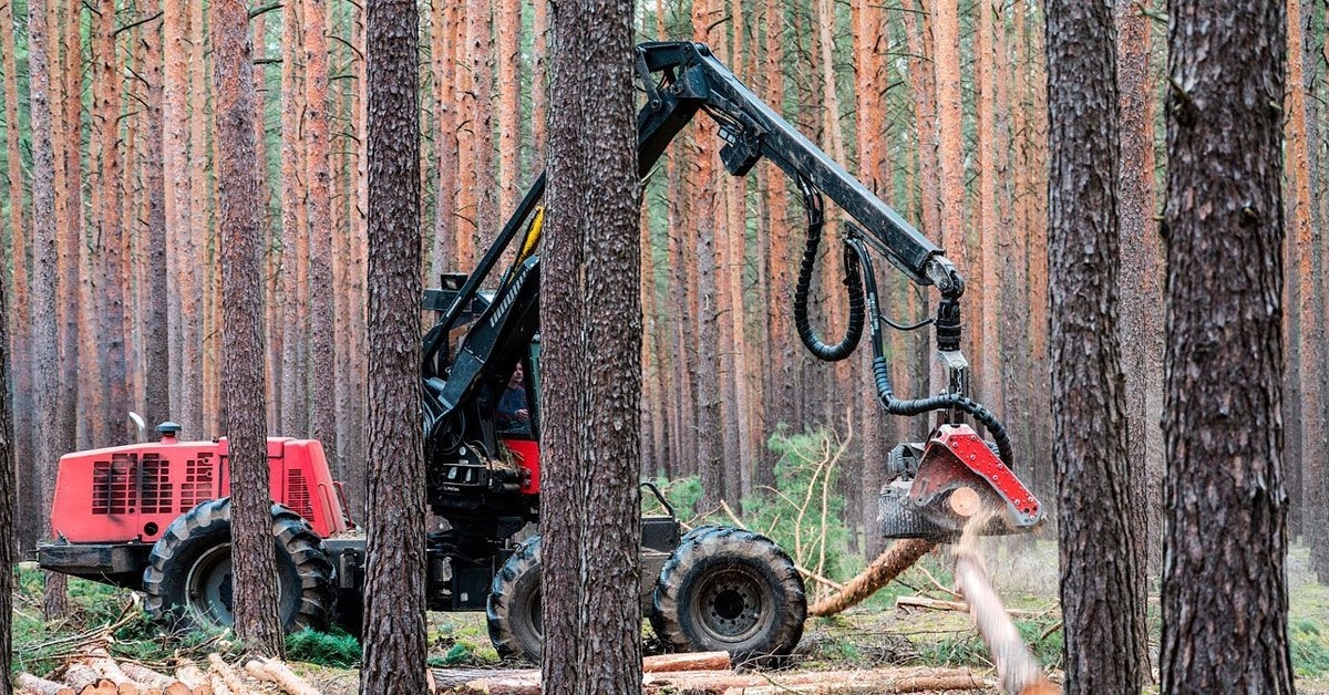 forestal-maquina