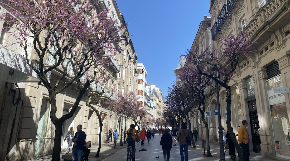 rua_paseo_ourense_recurso