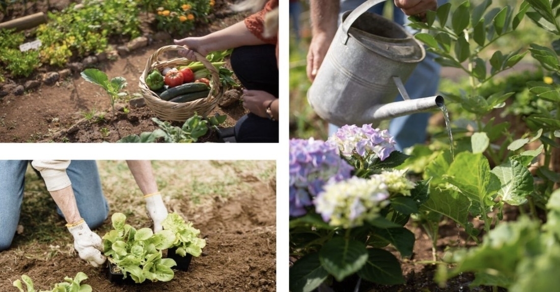 curso-agrucultura-ecoloxica-barbadas