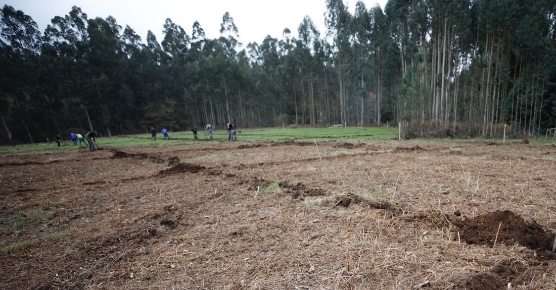 xunta-poligonos-agroforestais