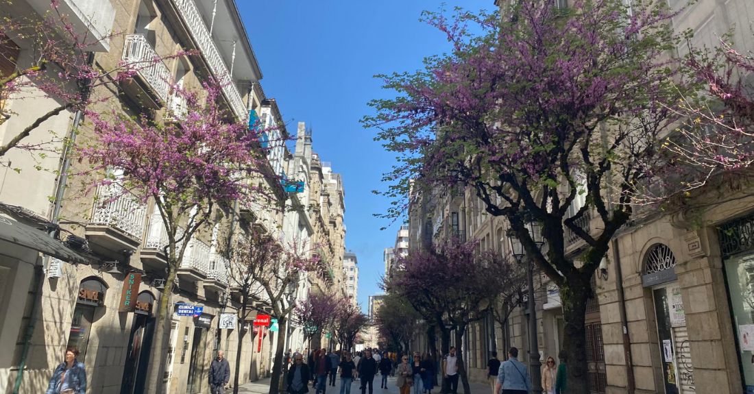 Rúa do Paseo, Ourense