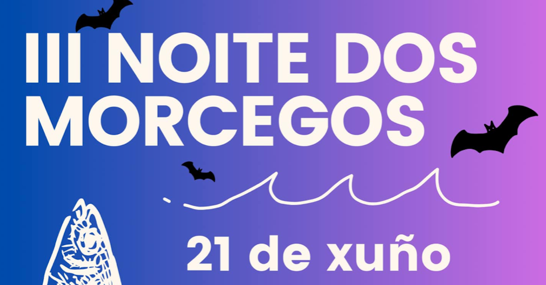 Cartel da terceira edición da Noite dos Morcegos de Taboadela