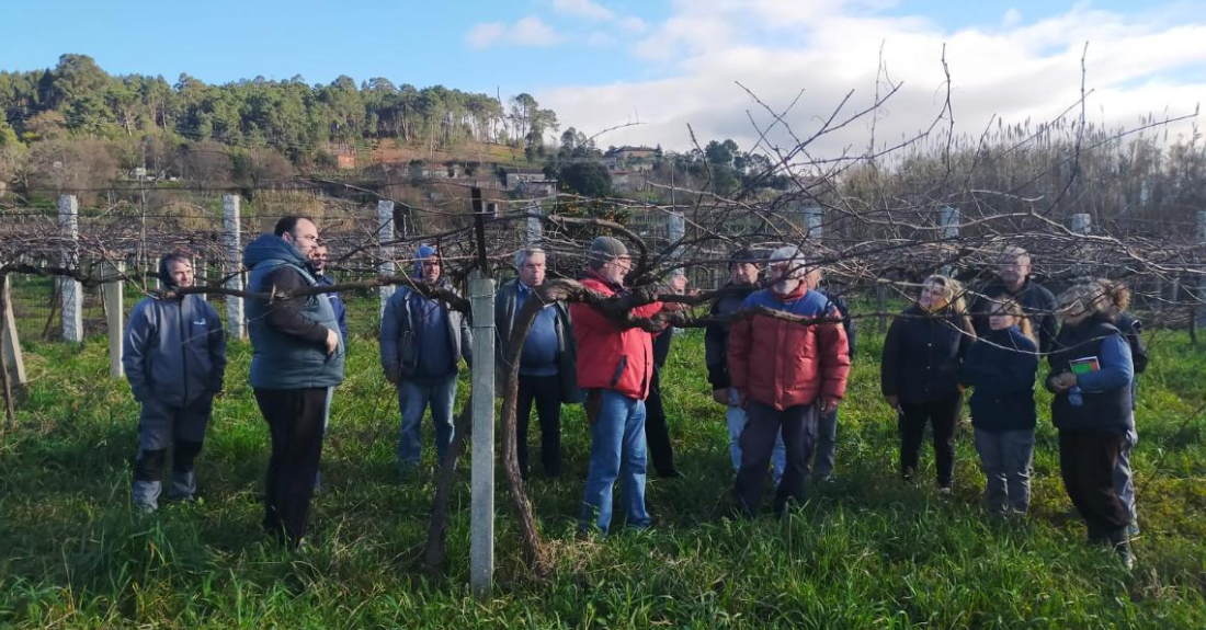 Participantes nun dos cursos de poda da Xunta de Galicia