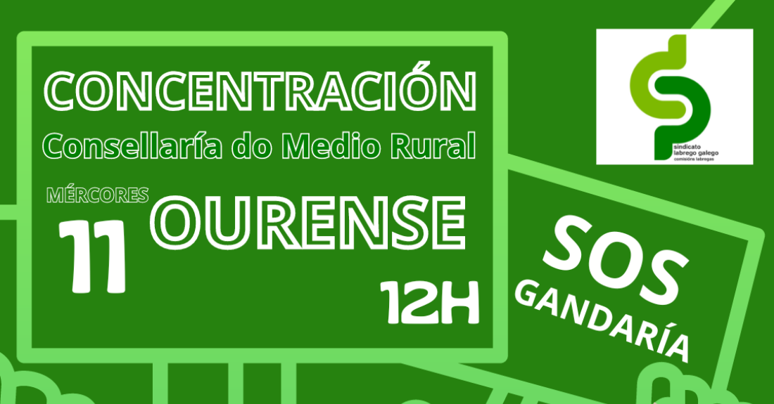 Convocatoria Ourense, SLG