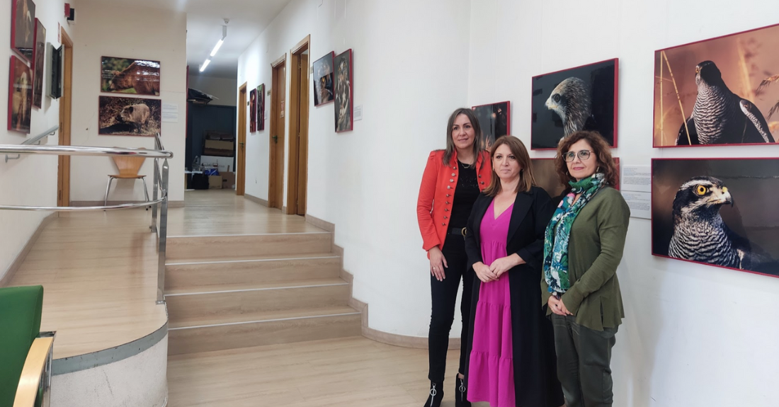 Inauguración da mostra 'Fauna Esencial' en Allariz