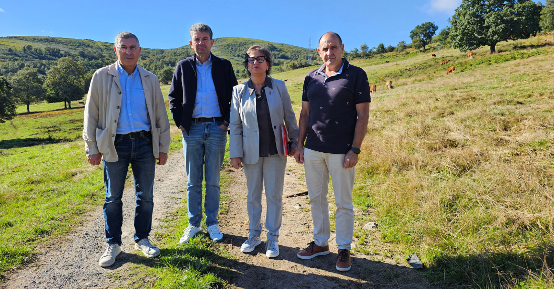 grupo-provincial-socialista-ourense