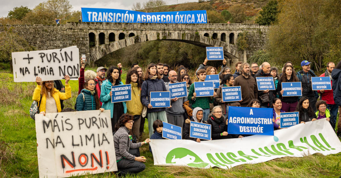 Roteiro reivindicatico do movemento 'Plantámonos' en Allariz