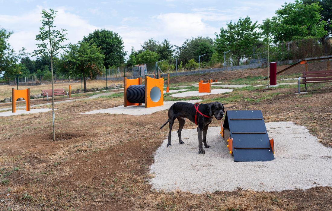 cachamuiña-parque-perros