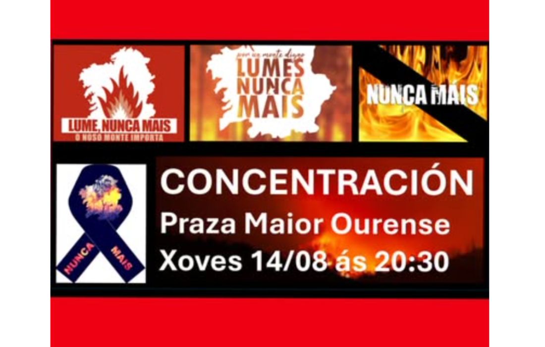concentracion-ourense-incendios