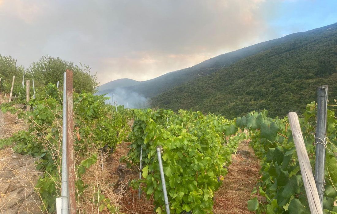 incendio-forestal-vinas