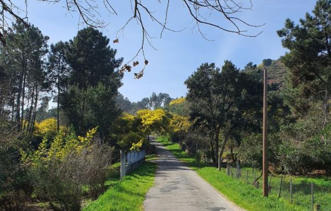 pista-forestal-barbadas