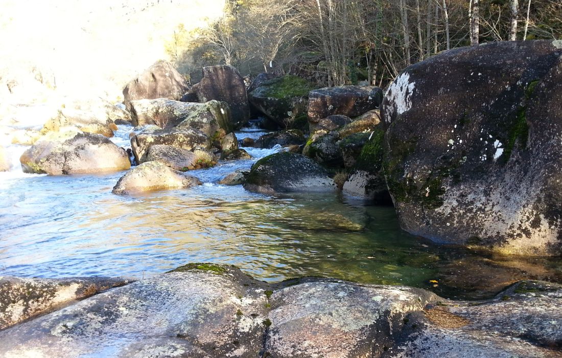 rio-barbaña