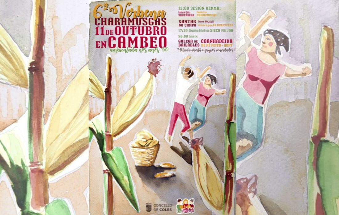 verbena-charamusgas