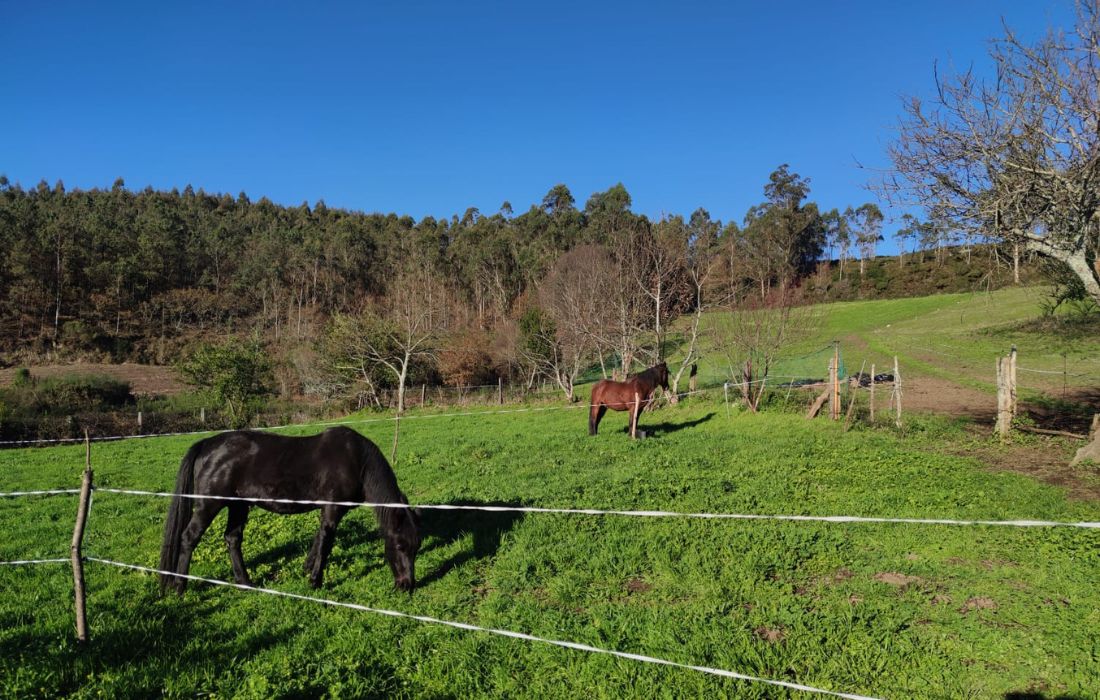 SOA VILAR RURAL (1)
