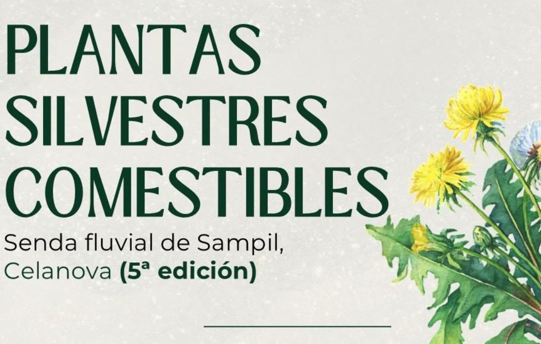 obradoiro-plantas-silvestres-celanova