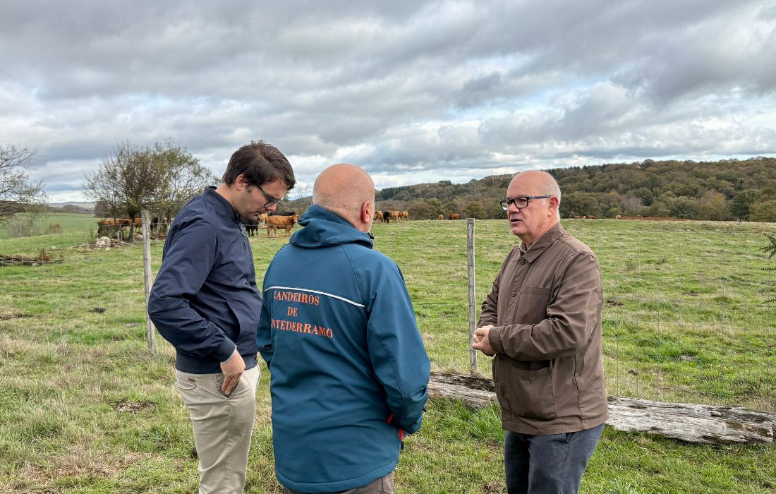 santos-axudas-montederramo