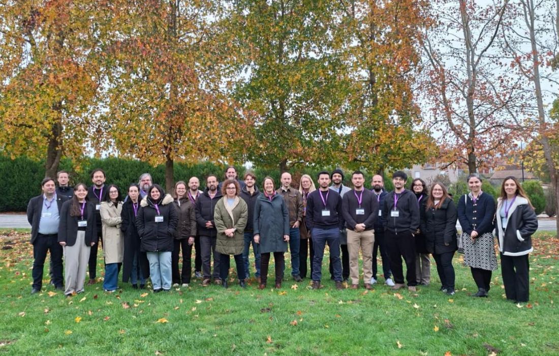 presentacion-storcito