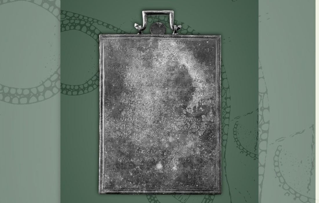 tabula-hospitalis-castromao