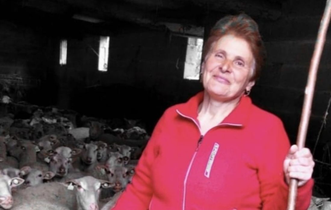 elvira-perez-vilanova