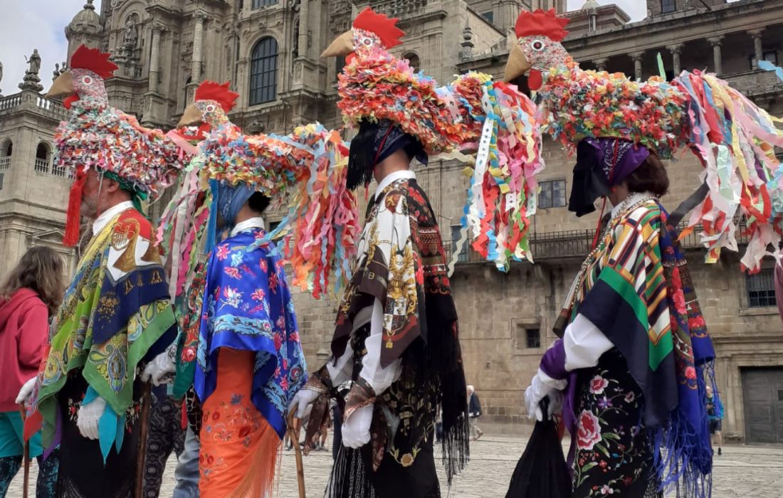 Galos-san-pedro-da-mezquita