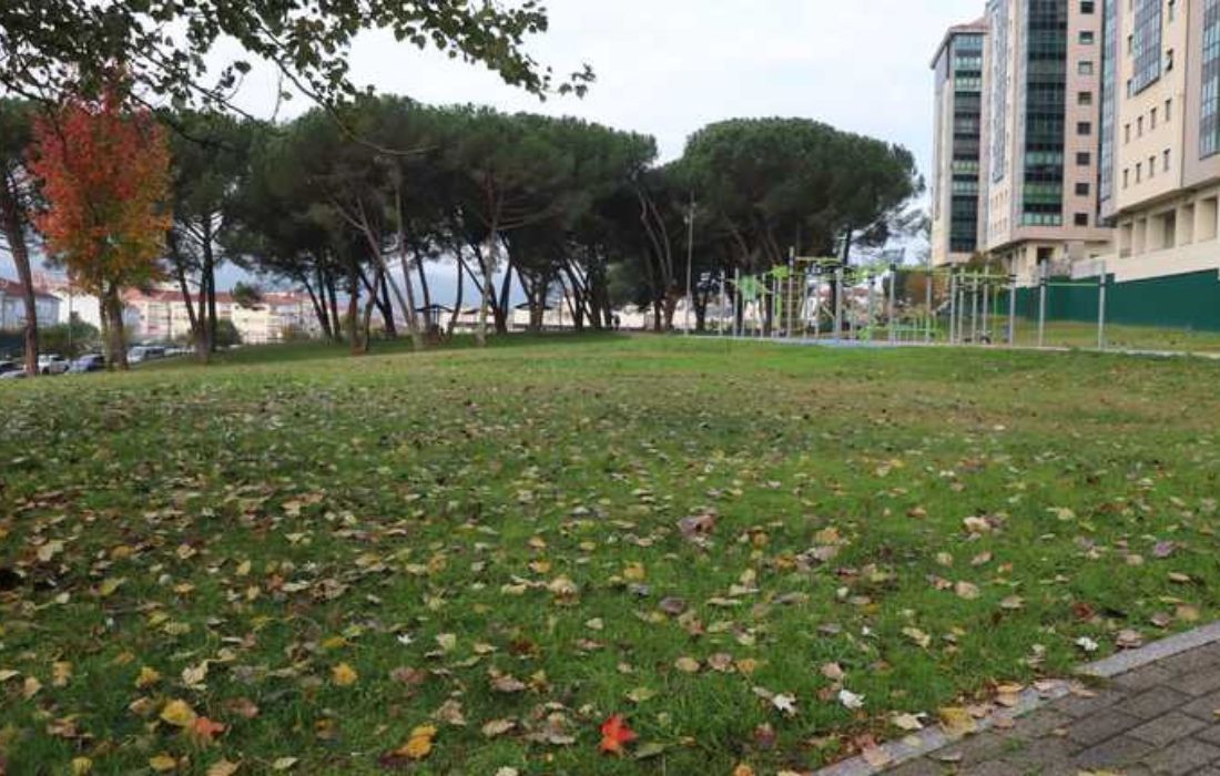 OURENSE parque canino de Barrocás