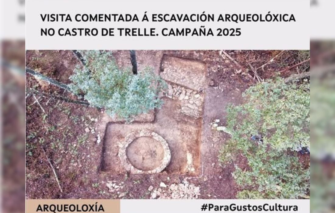 TOÉN castro de trelle