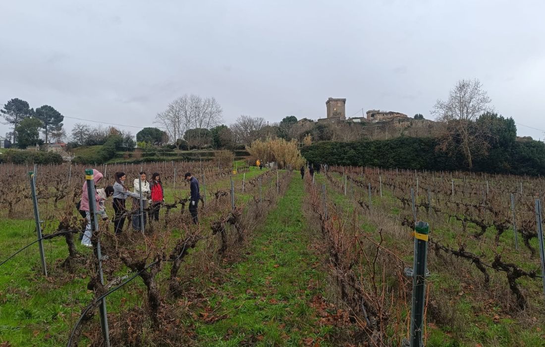curso-poda-deputacion-de-ourense