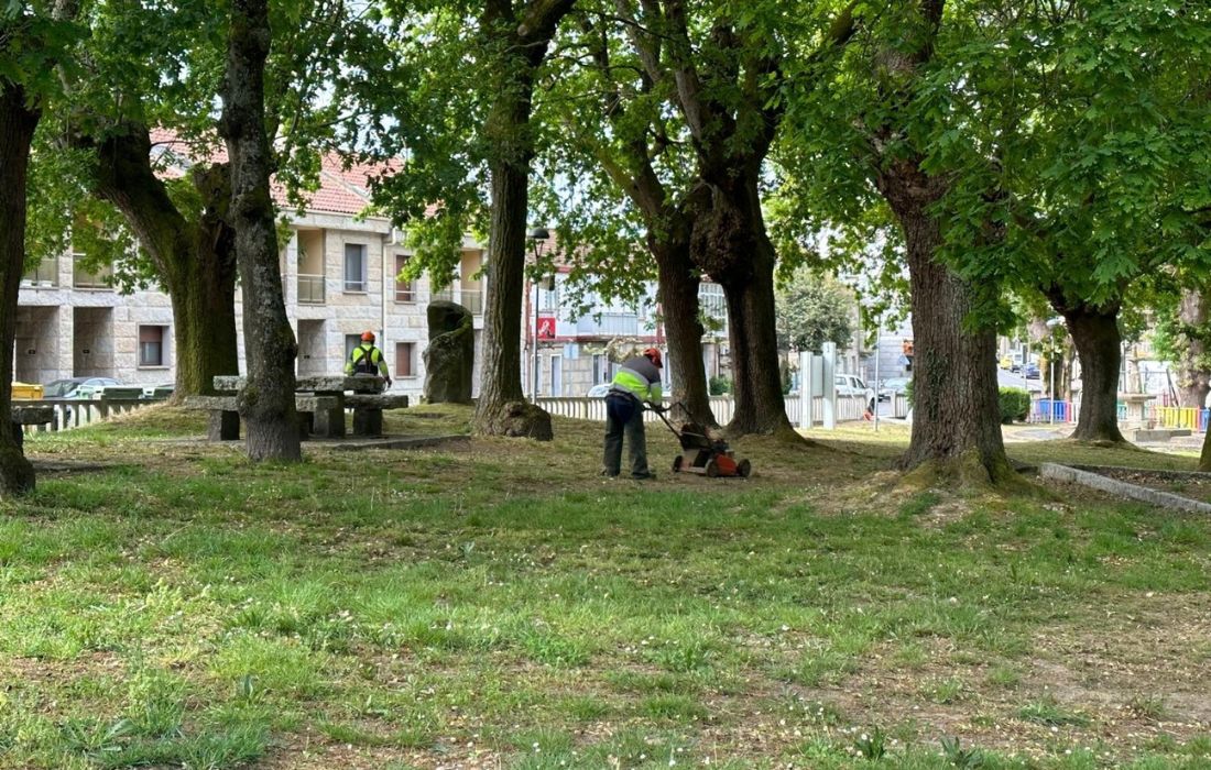 campo-do-souto-amoeiro