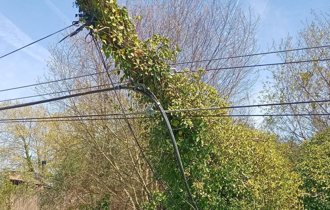 deterioro-postes-fibra-amoeiro