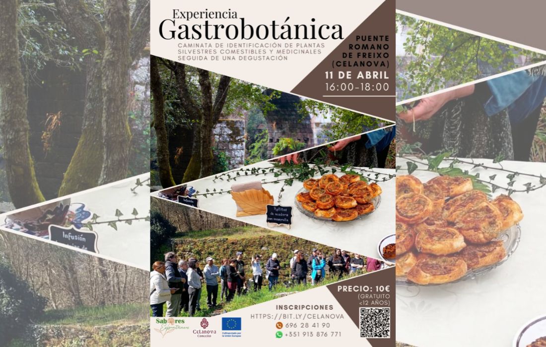experiencia-gastrobotanica-celanova