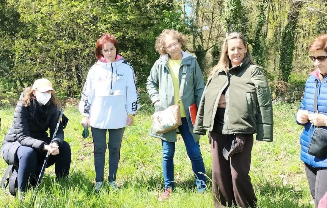 roteiro-silvestre-coles