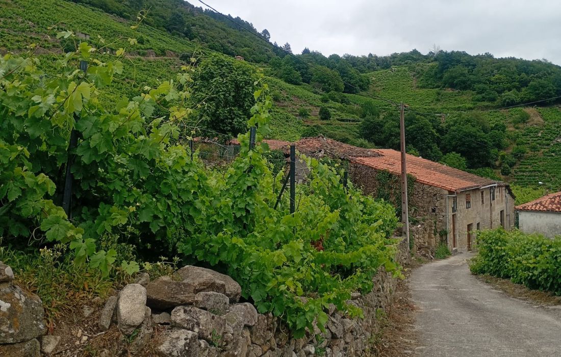 aldea-ribeira-sacra-imaxe-fears