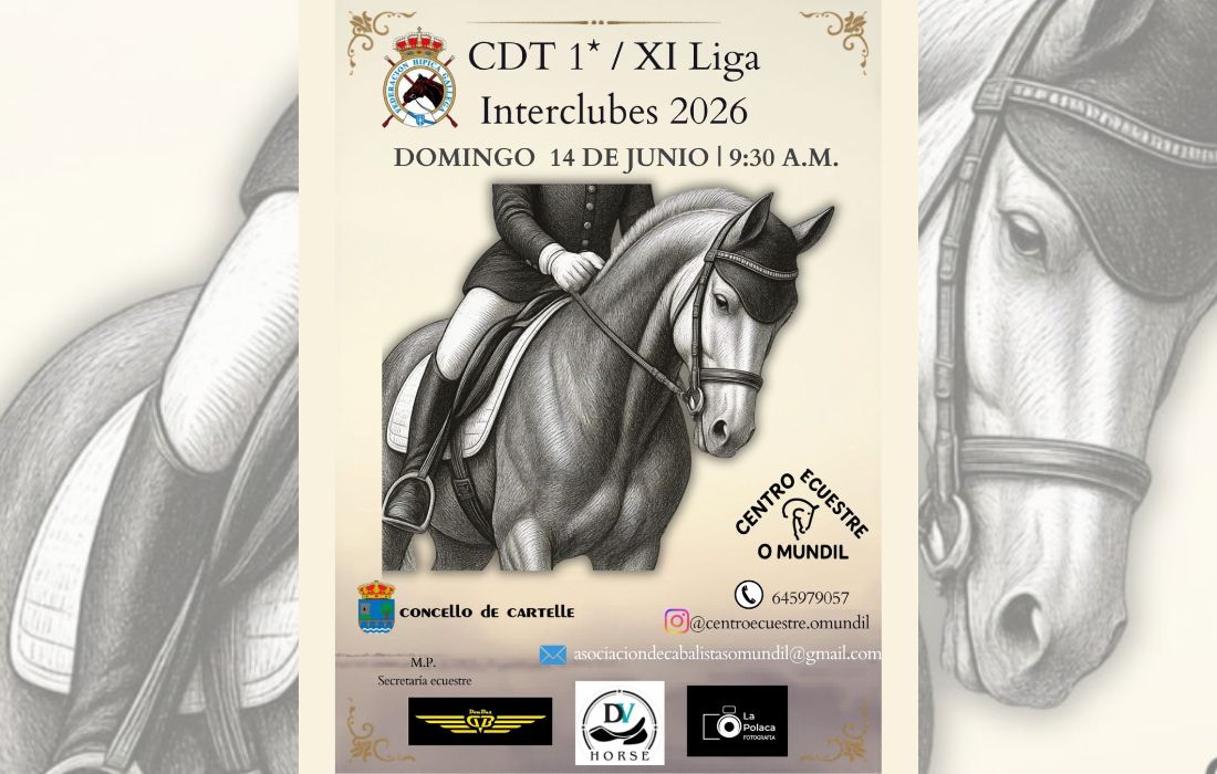 liga-hipica-cartelle