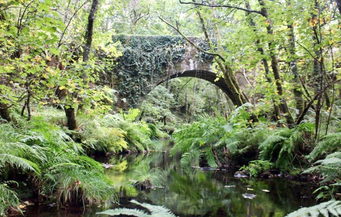 ponte-quintela-de-leirado