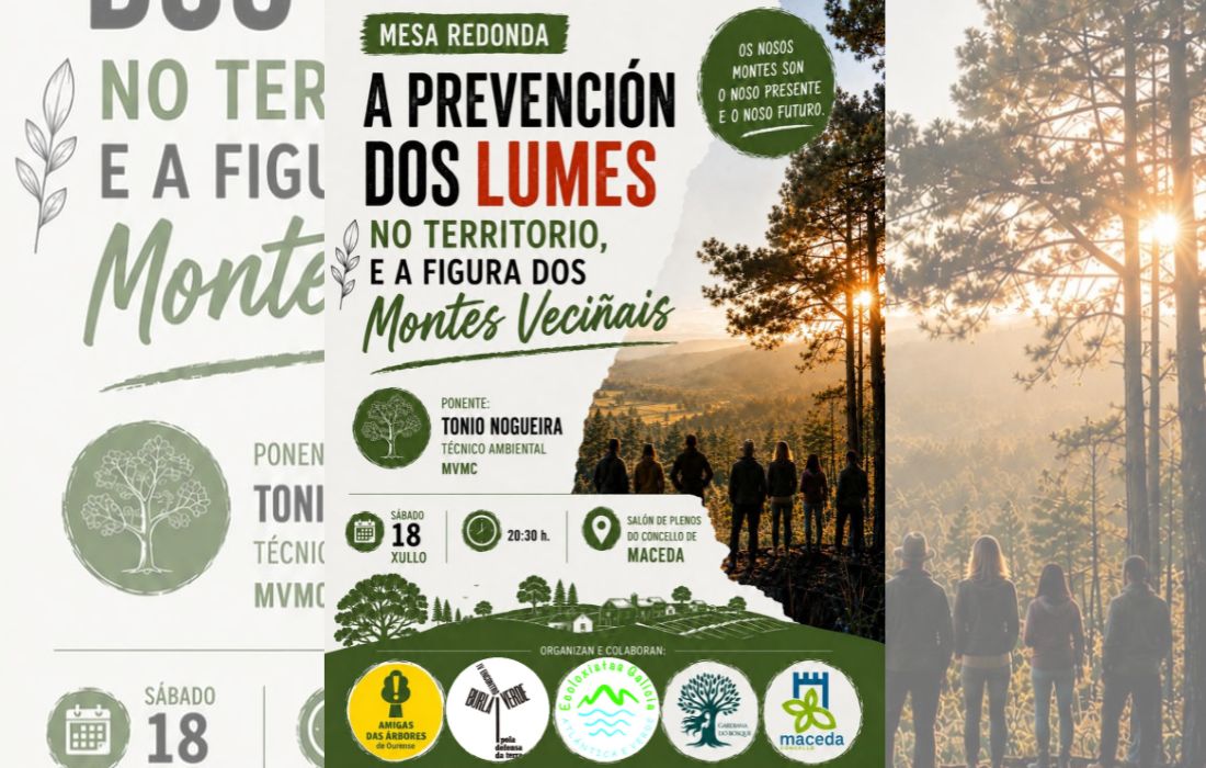 debate-incendios-maceda