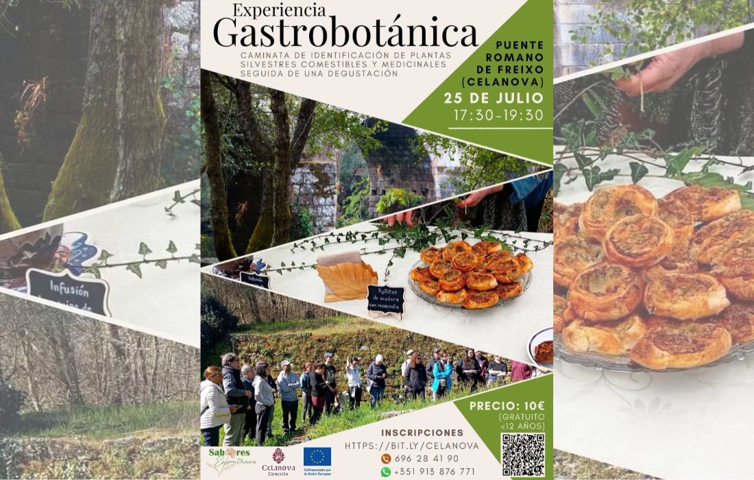 experiencia-gastrobotanica-celanova