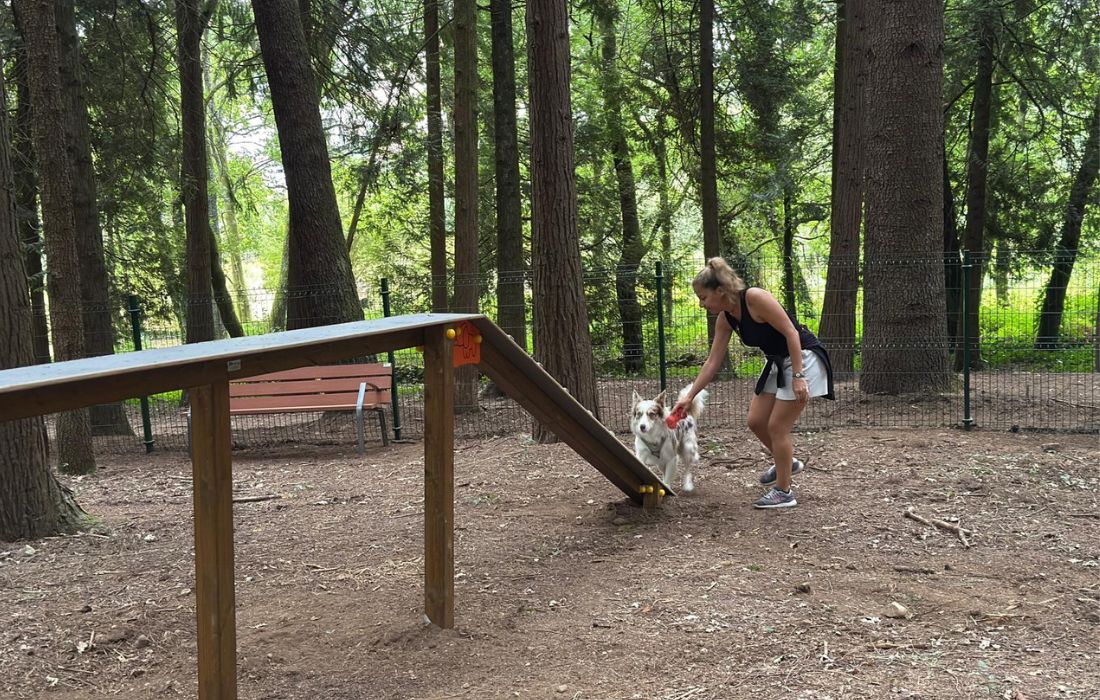 parque_canino_carballiño_2