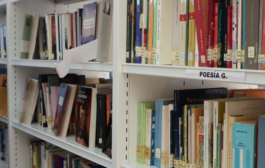 biblioteca-ribadavia