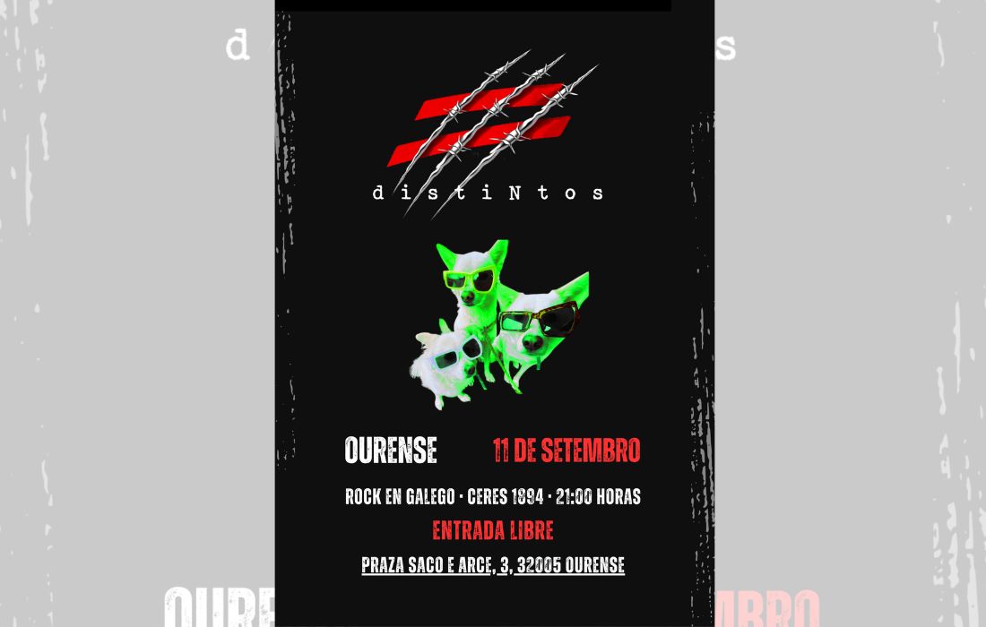 distiNtos concerto Ourense