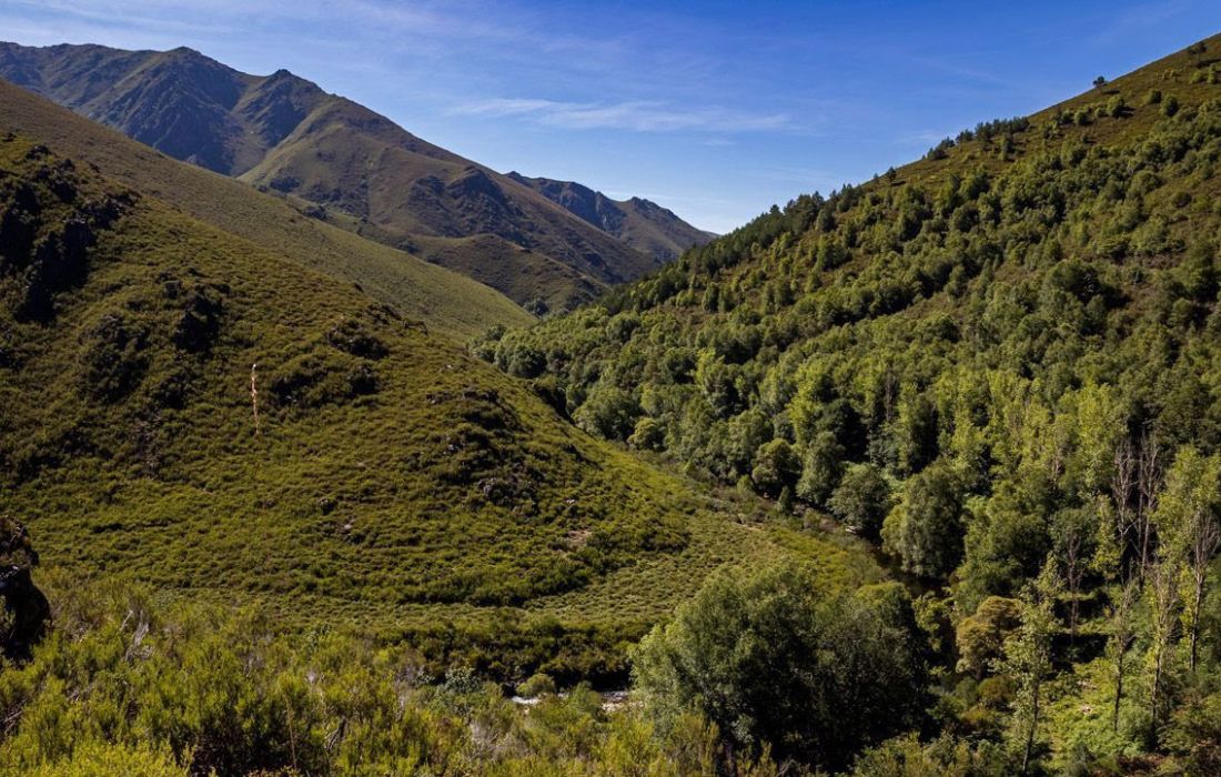 parque_eolico_maceda_montederramo