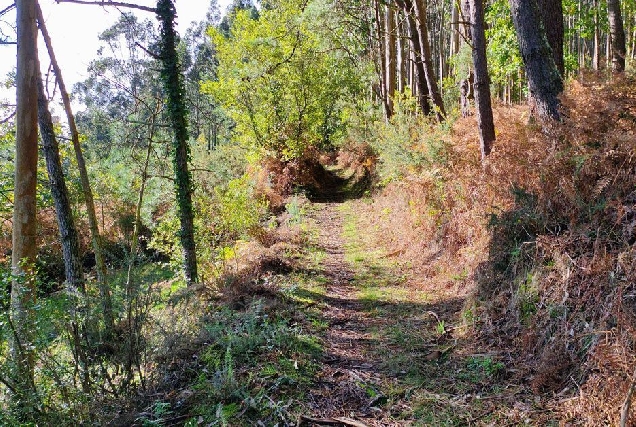 rutas mal estado BNG viveiro