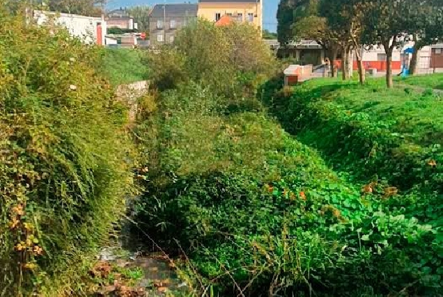 río Forcón en San Miguel 1