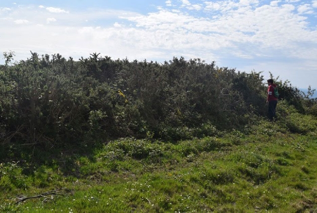 NOVOS XACEMENTOS ARQUEOLOXICOS ADEGA MARINA PATRIMONIO