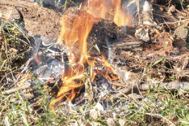 queimas_agricolas
