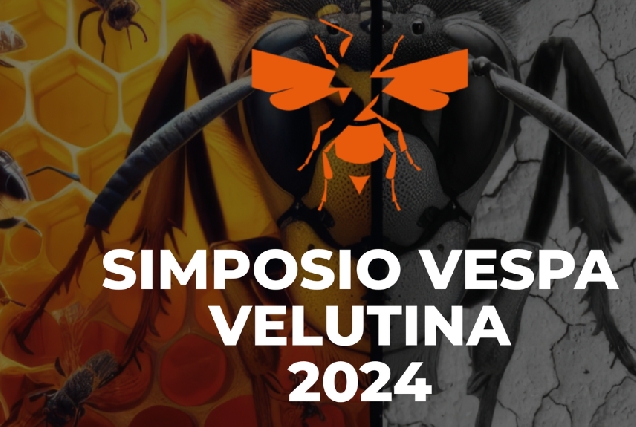 Cartel 'Simposio Vespa Velutina 2024'