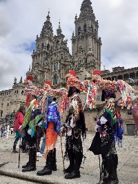 Galos-san-pedro-da-mezquita-3